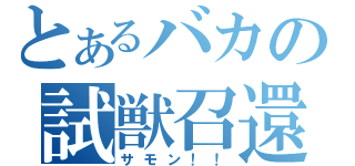 とあるバカの試獣召還（サモン！！）