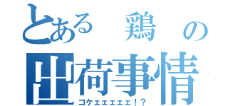 とある 鶏 の出荷事情（コケェェェェェ！？）