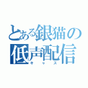 とある銀猫の低声配信（キャス）