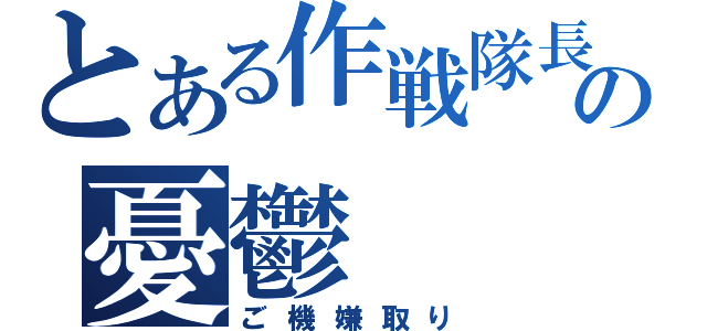 とある作戦隊長の憂鬱（ご機嫌取り）