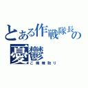 とある作戦隊長の憂鬱（ご機嫌取り）