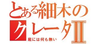 とある細木のクレーターⅡ（底には何も無い）