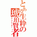 とある生粋の琥珀賢者（ローブレーカー）