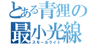 とある青狸の最小光線（スモールライト）