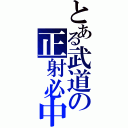 とある武道の正射必中（）