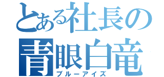 とある社長の青眼白竜（ブルーアイズ）