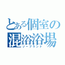 とある個室の混浴浴場（ソープランド）