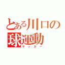 とある川口の球運動（サッカー）