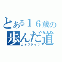 とある１６歳の歩んだ道（カオスライフ）