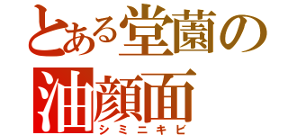 とある堂薗の油顔面（シミニキビ）