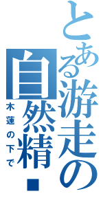 とある游走の自然精灵（木蓮の下で）