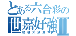 とある六合彩の世嘉好強Ⅱ（號碼大預測）