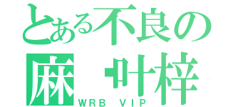 とある不良の麻仓叶梓（ＷＲＢ ＶＩＰ）