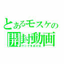 とあるモスケの開封動画（パックをあける）