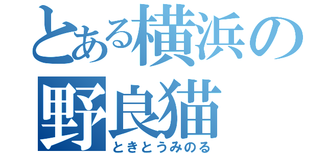 とある横浜の野良猫（ときとうみのる）