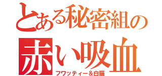 とある秘密組の赤い吸血鬼（フワッティー＆白猫）