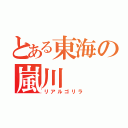 とある東海の嵐川（リアルゴリラ）