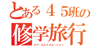 とある４５班の修学旅行（スクールエクスカーション）