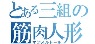 とある三組の筋肉人形（マッスルドール）