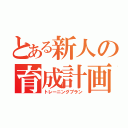 とある新人の育成計画（トレーニングプラン）