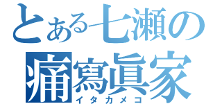 とある七瀬の痛寫眞家（イタカメコ）