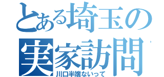 とある埼玉の実家訪問（川口半端ないって）