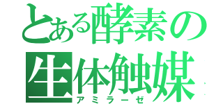 とある酵素の生体触媒（アミラーゼ）