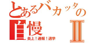 とあるバカッターの自慢Ⅱ（炎上！通報！退学）