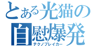 とある光猫の自慰爆発（テクノブレイカー）