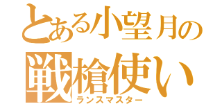 とある小望月の戦槍使い（ランスマスター）