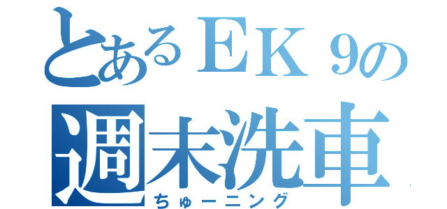 とあるＥＫ９の週末洗車（ちゅーニング）