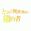 とある異世界の誓約者（リンカー）