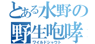 とある水野の野生咆哮（ワイルドシャウト）