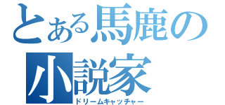 とある馬鹿の小説家（ドリームキャッチャー）