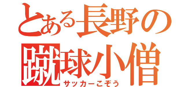 とある長野の蹴球小僧（サッカーこぞう）