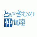 とあるきむの仲間達（）