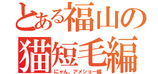 とある福山の猫短毛編（にゃん。アメショー編）