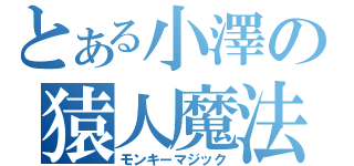 とある小澤の猿人魔法（モンキーマジック）