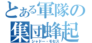 とある軍隊の集団蜂起（シャドー・モセス）