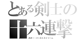 とある剣士の十六連撃（スター・バーストストリーム）