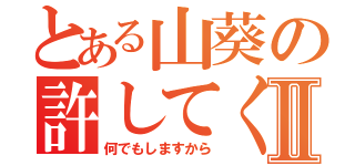 とある山葵の許してくださいⅡ（何でもしますから）