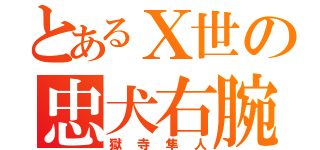 とあるⅩ世の忠犬右腕（獄寺隼人）