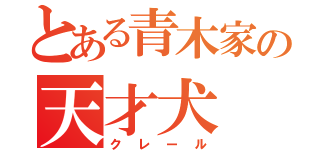 とある青木家の天才犬（クレール）