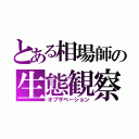 とある相場師の生態観察（オブザベーション）