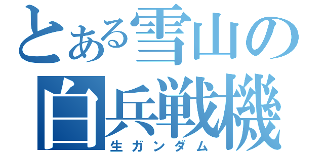 とある雪山の白兵戦機（生ガンダム）