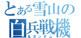 とある雪山の白兵戦機（生ガンダム）