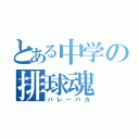 とある中学の排球魂（バレーバカ）