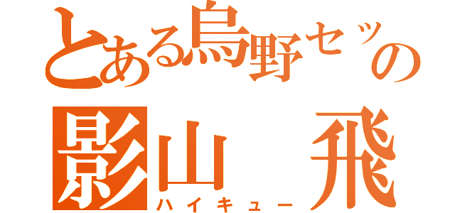 とある烏野セッターの影山 飛雄（ハイキュー）