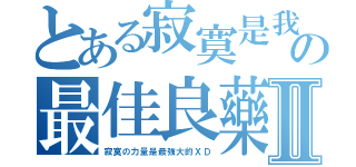 とある寂寞是我の最佳良藥Ⅱ（寂寞の力量是最強大的ＸＤ）