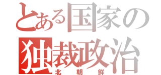 とある国家の独裁政治（北朝鮮）